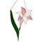 Lily Flower Pre-Cut Stained Glass Kit-Make Your own Beautiful Glass Project.